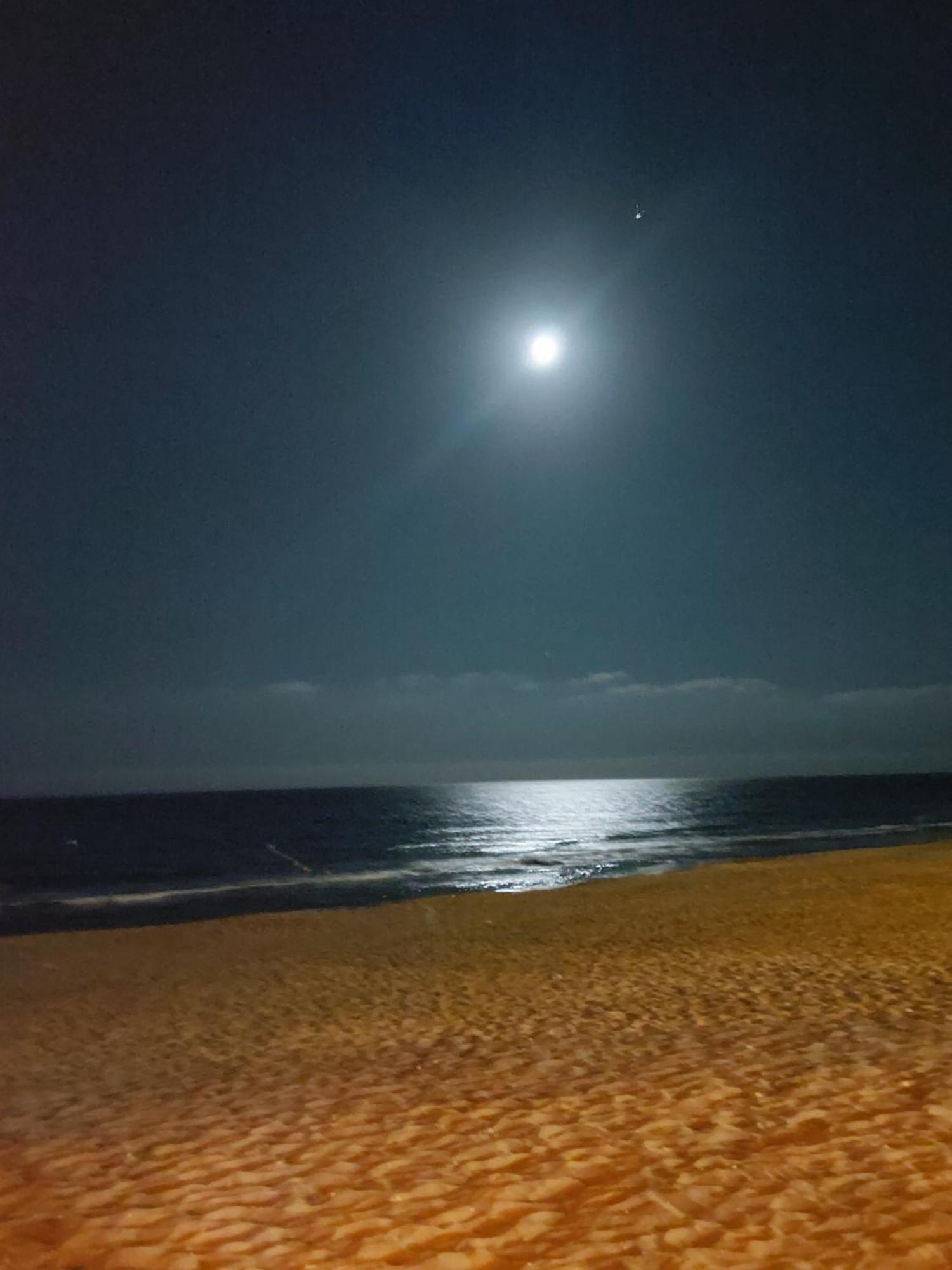 Villa Lenia Torrevieja Dış mekan fotoğraf