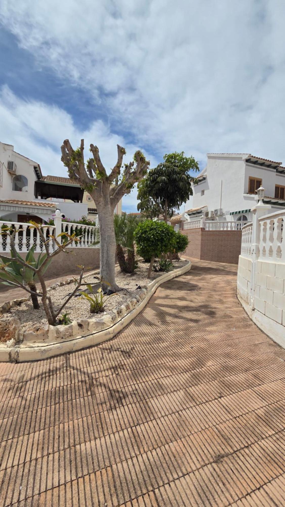Villa Lenia Torrevieja Dış mekan fotoğraf